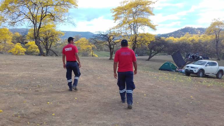 FLORECIMIENTO DE LOS GUAYACANES